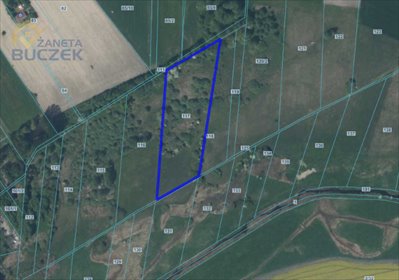 działka na sprzedaż 15100m2 działka Mikołajew, Stary Mikołajew