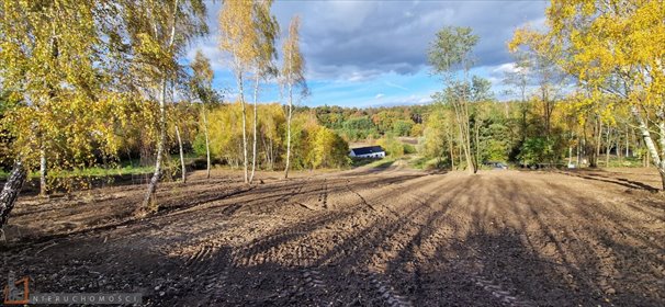 działka na sprzedaż 4800m2 działka Balice