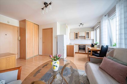 Na wynajem przestronne mieszkanie 25 m² w Poznaniu mieszkanie Poznań, Jeżyce, Stanisława Szczepanowskiego