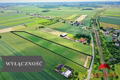 Na sprzedaż duża działka inwestycyjna 23 519 m² w Gołaszewie działka Kowal, Gołaszewo