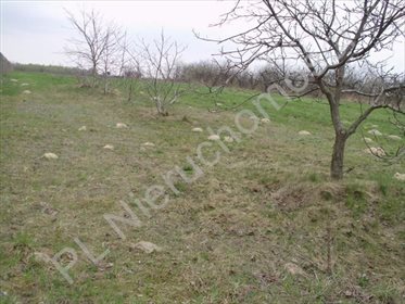 Działka rolna na sprzedaż Jeziora-Nowina 1 000m2 Foto 2
