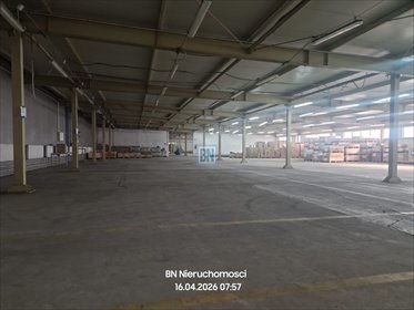 Zapraszam do wynajmu hali 4200 m² z biurami i monitoringiem lokal użytkowy Krapkowice