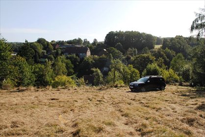 Działka budowlana na sprzedaż Miłoszów 6 500m2 Foto 6