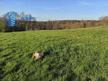 działka na sprzedaż 1430m2 działka Polimonie