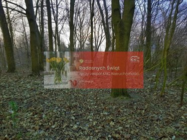 działka na sprzedaż 3300m2 działka Kocianów