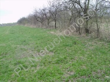 Działka rolna na sprzedaż Jeziora-Nowina 1 000m2 Foto 3