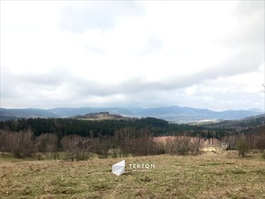 działka na sprzedaż 7260m2 działka Sierpnica, Zielone Wzgórze