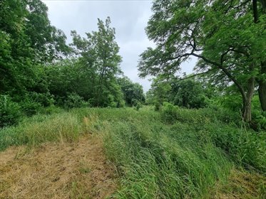 działka na sprzedaż 1466m2 działka Gąbin, Kielniki