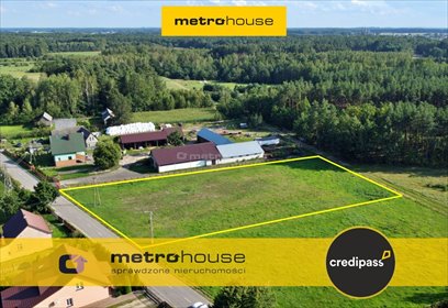 działka na sprzedaż 3900m2 działka Czerwińskie