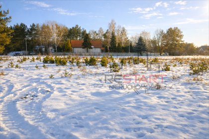 działka na sprzedaż 1600m2 działka Szczęsne