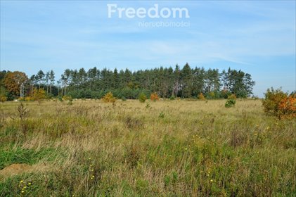 Atrakcyjna działka budowlana 3 884 m² w Siedliskach działka Siedliska