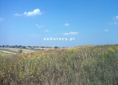 Działka budowlana na sprzedaż Prandocin-Iły 5 000m2 Foto 3