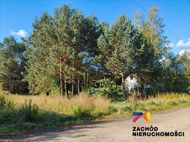 Działka 1243 m² w Droszkowie - polecam działka Droszków