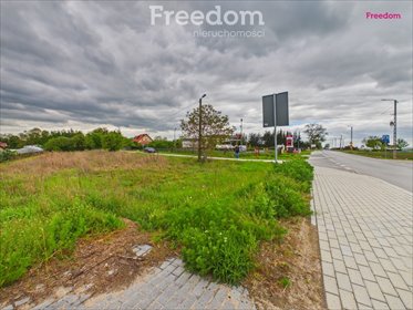 Działka 1976 m² w cichej okolicy, inwestycyjny potencjał działka Pacew