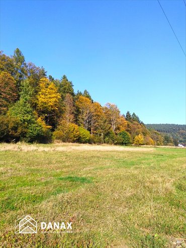 Działka budowlana 884 m² - inwestycja i spokój działka Śnietnica