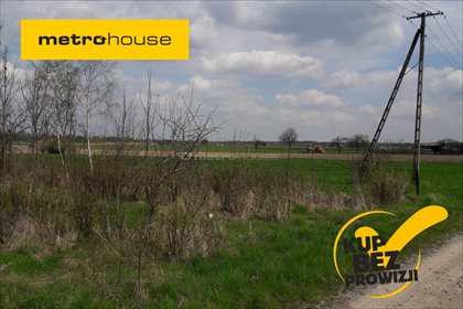 Działka rolna na sprzedaż Żeliszew Duży, Kotuń 4 000m2 Foto 1
