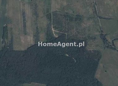 działka na sprzedaż 196400m2 działka Miłogostowice