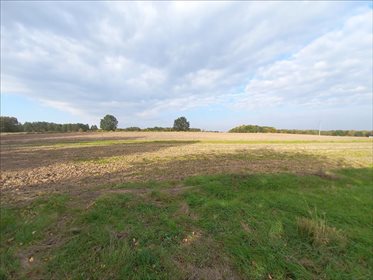 Działka rolna na sprzedaż Wierzchoniów, Kazimierz Dolny 4 400m2 Foto 2