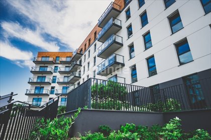 mieszkanie na sprzedaż 54m2 mieszkanie Gdynia, Dąbrowa, Rdestowa