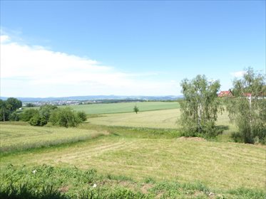 działka na sprzedaż 1500m2 działka Jaszkówka