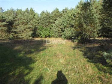 Działka budowlana na sprzedaż Siedlątków, Osiedle Działek 860m2 Foto 3