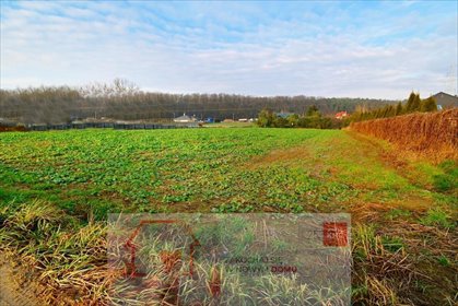 działka na sprzedaż 1800m2 działka Lublin, Zemborzyce