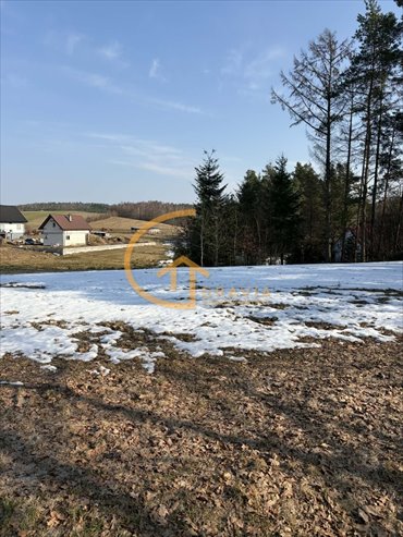 działka na sprzedaż 1002m2 działka Przetoczyno, Sami Swoi