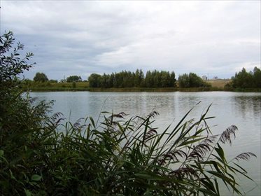 Działka rekreacyjna na sprzedaż Trutowo 120 000m2 Foto 3