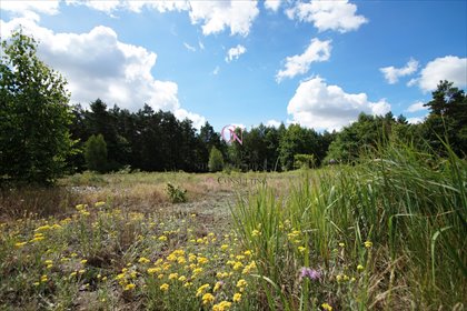 działka na sprzedaż 1430m2 działka Odolion