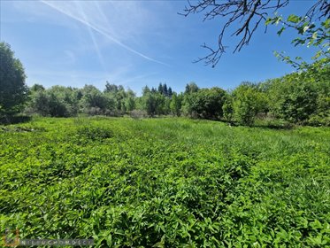 działka na sprzedaż 2382m2 działka Brzozówka Korzkiewska