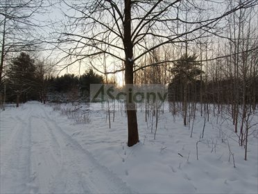 działka na sprzedaż 1351m2 działka Sulejówek, Ratajewo