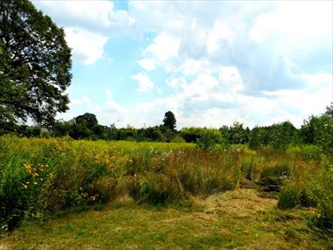 działka na sprzedaż 1300m2 działka Zduńska Wola