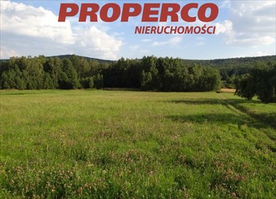 Działka 35 500 m² z lasami i zabudową zagrodową działka Zagórze