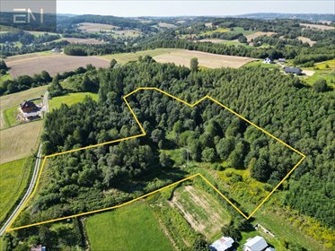 Przestronna działka 1,31 ha z mediami i potencjałem działka Dobrzechów