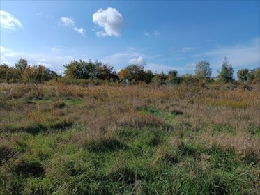 działka na sprzedaż 18800m2 działka Gniezno