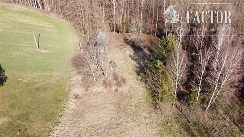 działka na sprzedaż 9100m2 działka Sędziszowa