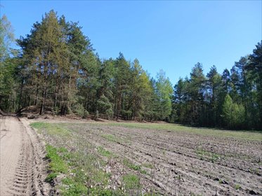 Działka budowlana na sprzedaż Myszyniec, Myszyniec 5 200m2 Foto 3