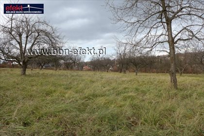 Działka budowlana na sprzedaż Bielsko-Biała, Górne Przedmieście 9 000m2 Foto 3
