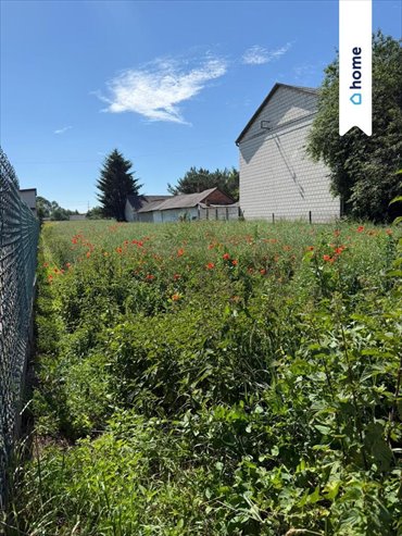 Działka 2000 m² w Szczebrzeszynie, spokojna okolica - polecam! działka Szczebrzeszyn