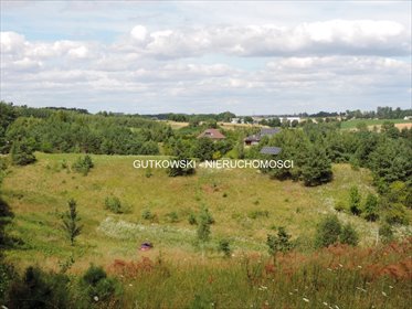 działka na sprzedaż 18782m2 działka Bratian, Łąki Bratiańskie