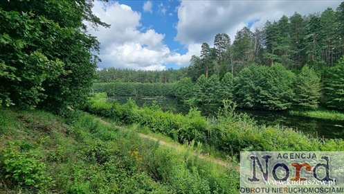 Działka 1,6 ha z widokiem na Kanał Augustowski (Podlaskie) działka Rudawka