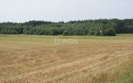 Działka budowlana na sprzedaż Sucha Górna, Sucha Górna 21 311m2 Foto 7