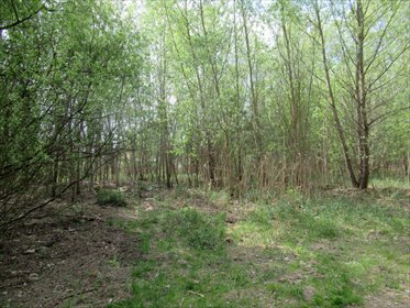Sprzedam działkę 1842 m² w Kobyłce z mediami i planem zabudowy działka Kobyłka, Prusa