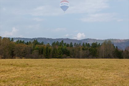 Działka rolna na sprzedaż Sopotnia Wielka 3 098m2 Foto 3