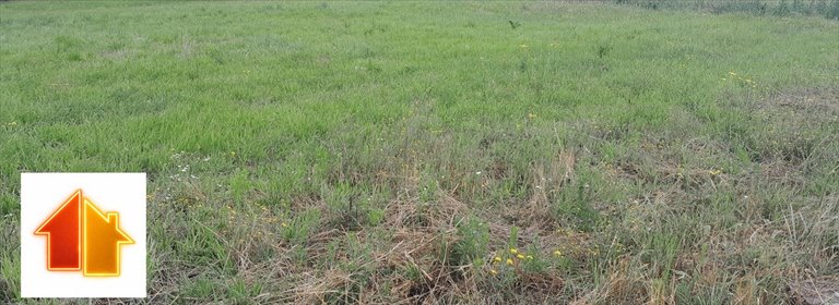 działka na sprzedaż 989m2 działka Rzeszów, Dębicka