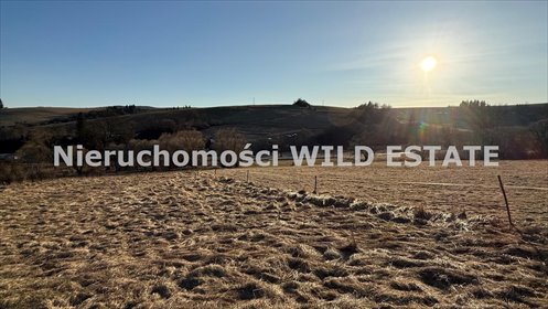 Działka rolna 11 383 m² w Liskowatym, blisko Ustrzyk działka Ustrzyki Dolne, Liskowate