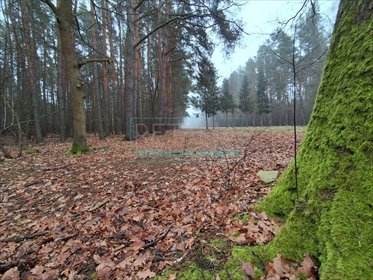 działka na sprzedaż 21083m2 działka Nadarzyn
