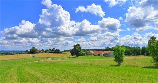 działka na sprzedaż 3000m2 działka Wiżajny