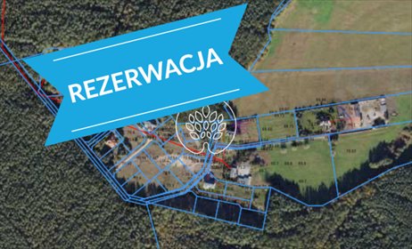 Działka 1585 m² pod dom w lesie – Kobylarnia, cisza i prywatność działka Kobylarnia