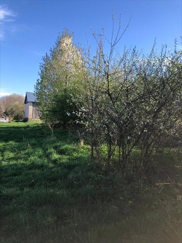 działka na sprzedaż 5200m2 działka Anielpol